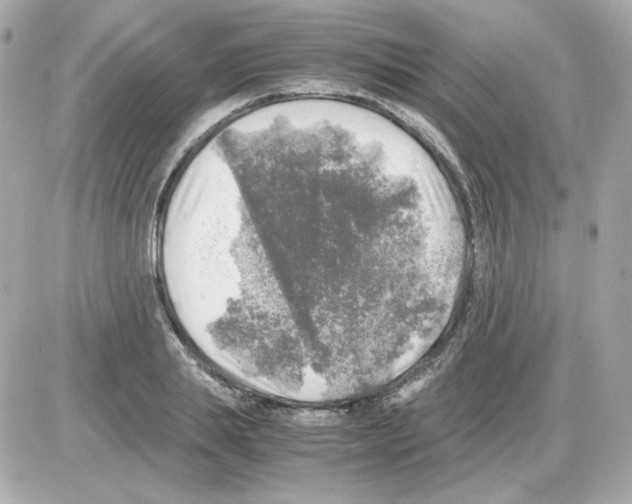 X0000085250839200704092047