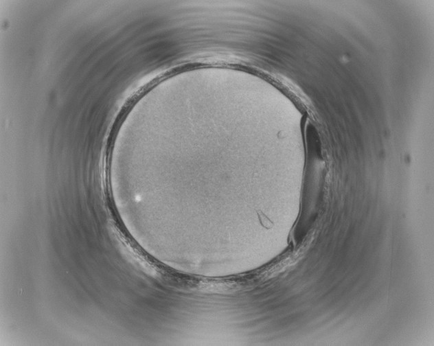 X0000085250840200704092047