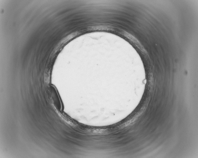 X0000085250841200704092047