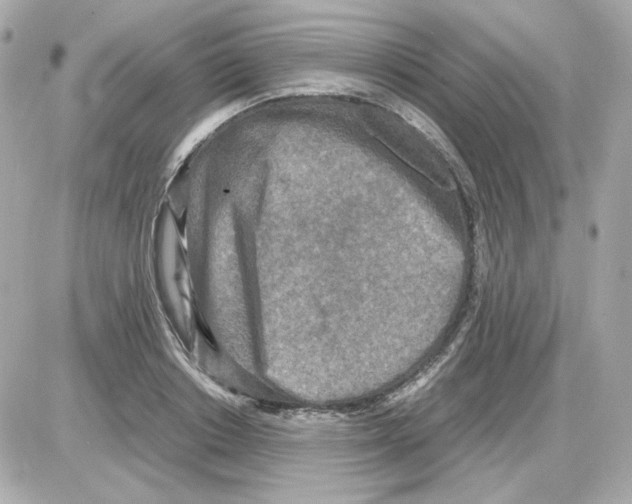 X0000085250842200704092047