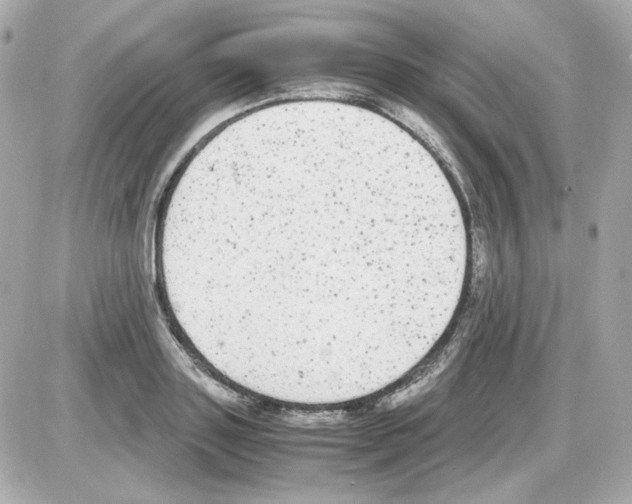 X0000085250843200704092047