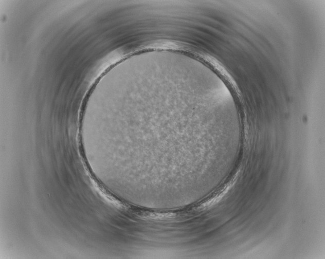 X0000085250845200704092047