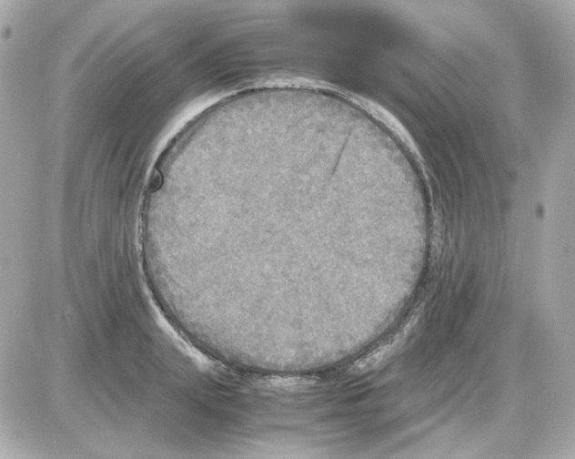 X0000085250847200704092047