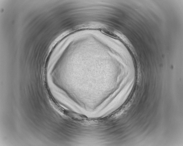 X0000085250850200704092047