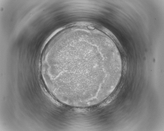 X0000085250852200704092047