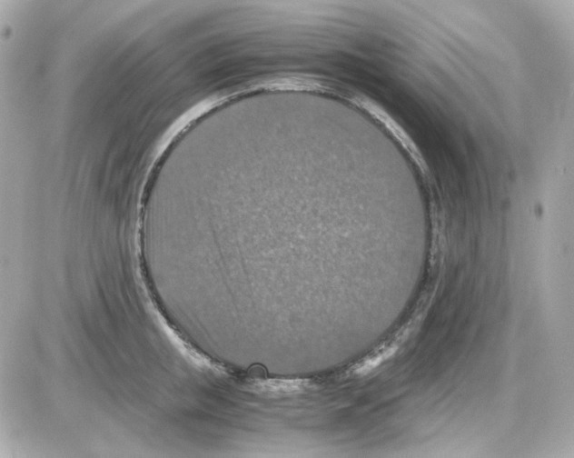 X0000085250853200704092047