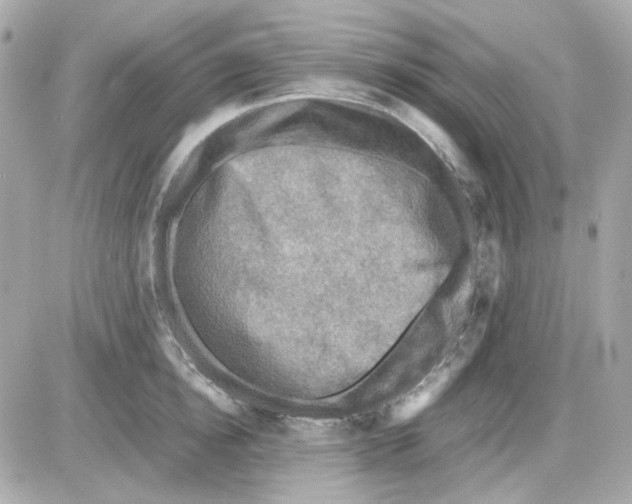 X0000085250854200704092047