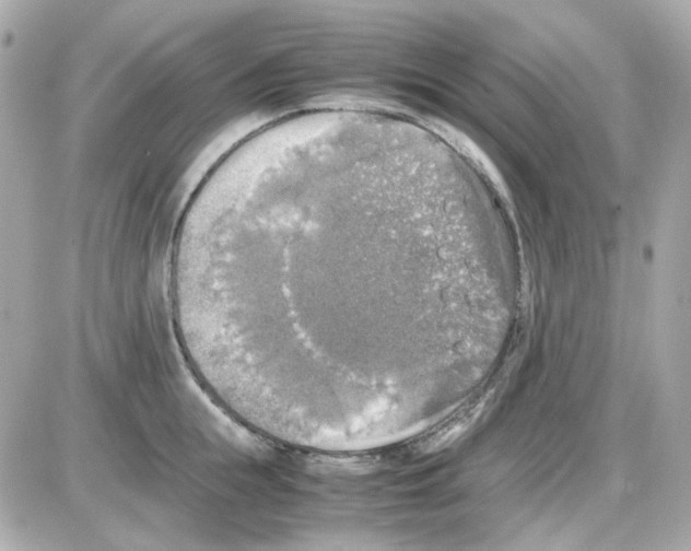 X0000085250855200704092047