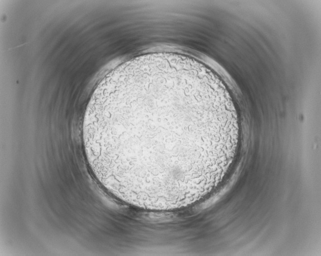 X0000085250857200704092047