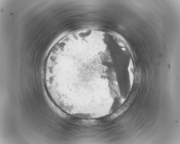 X0000085250859200704092047