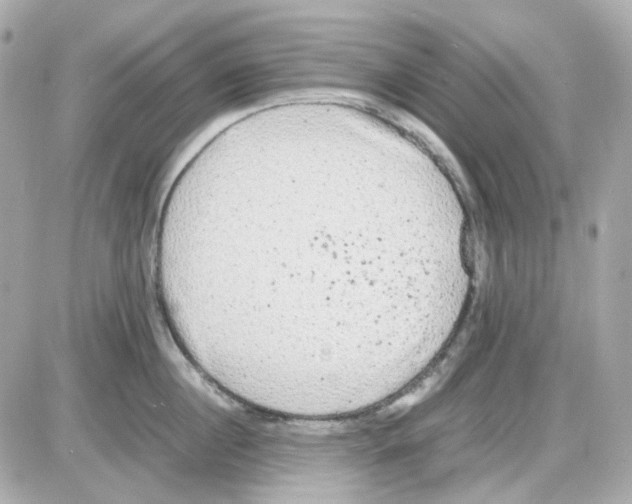 X0000085250860200704092047