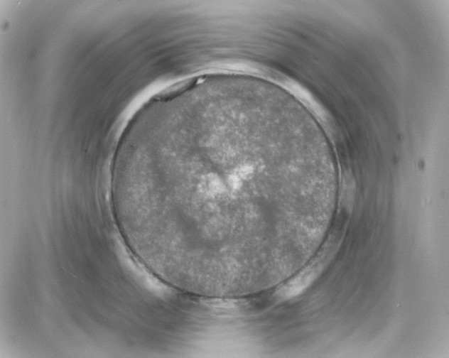 X0000085250862200704092047