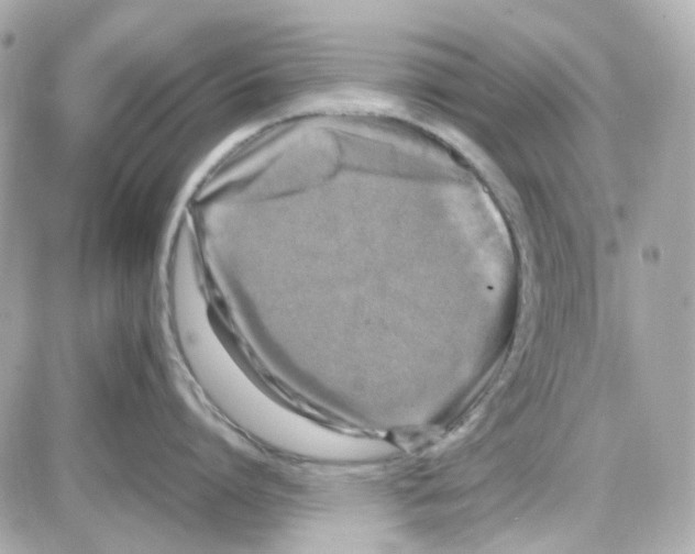 X0000085250864200704092047