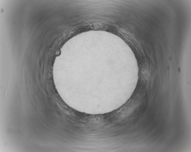 X0000085250865200704092046