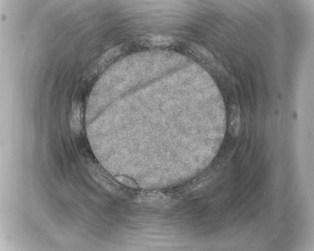 X0000085250866200704092046