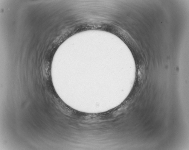 X0000085250867200704092046