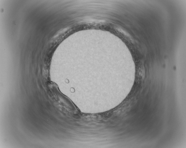 X0000085250869200704092046