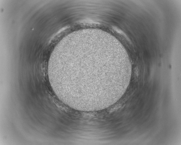 X0000085250870200704092046