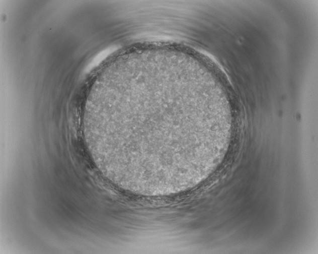 X0000085250871200704092046