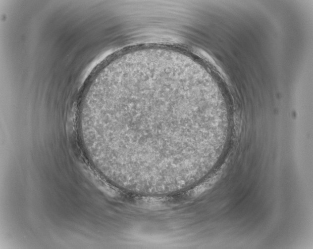 X0000085250875200704092046