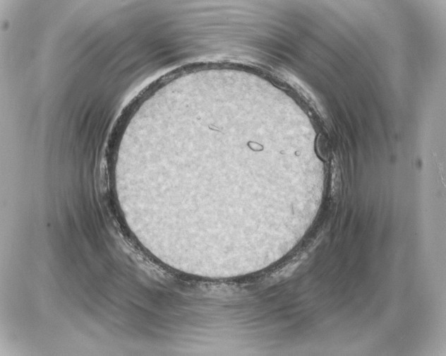 X0000085250876200704092046