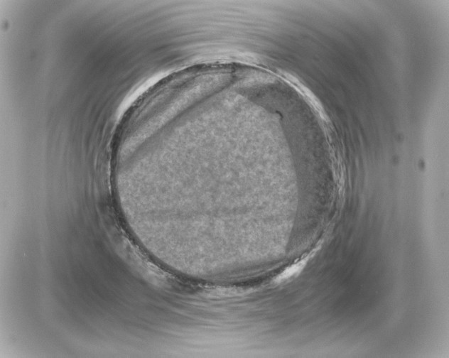 X0000085250877200704092046