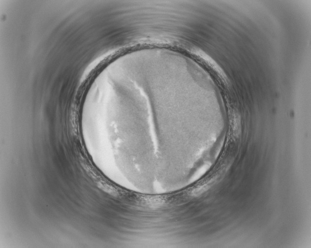 X0000085250878200704092046