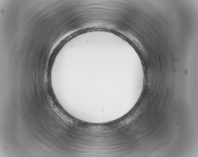 X0000085250880200704092046