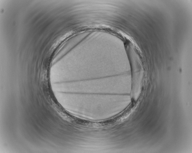 X0000085250881200704092046