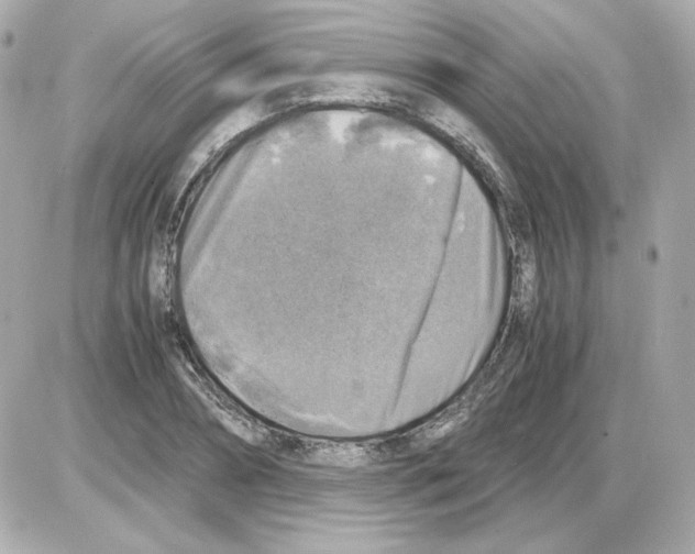 X0000085250882200704092046