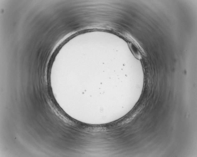 X0000085250884200704092046