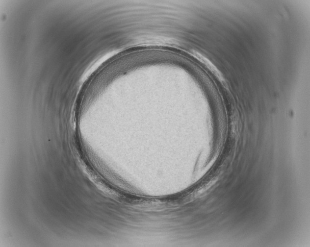 X0000085250885200704092046