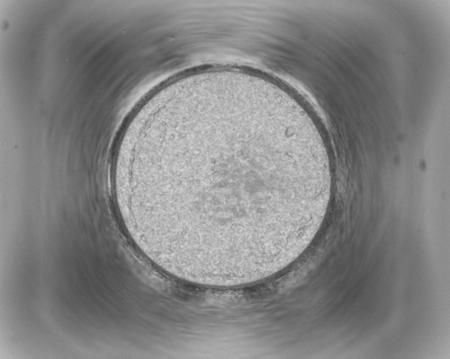 X0000085250887200704092046