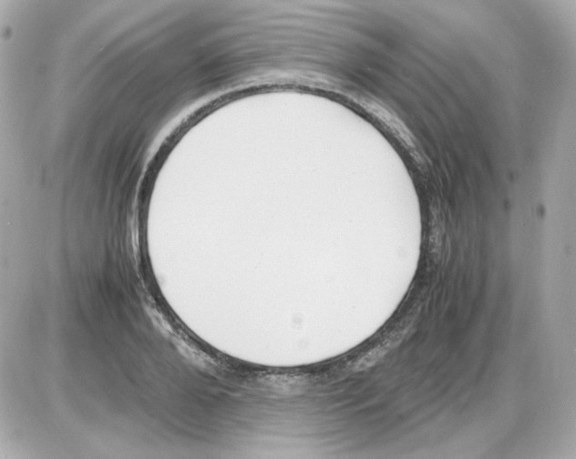 X0000085250888200704092046