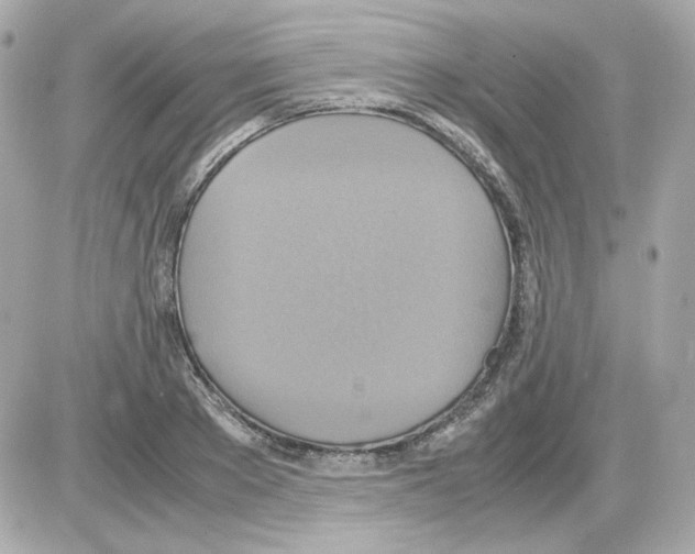 X0000085250889200704092046