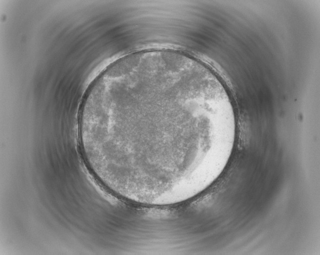 X0000085250890200704092046