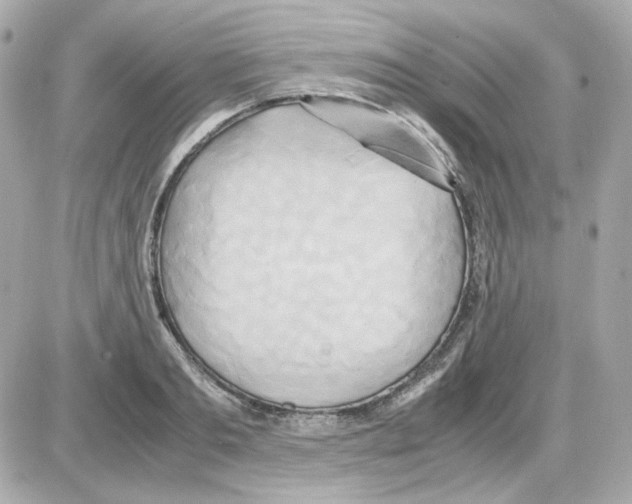 X0000085250893200704092046