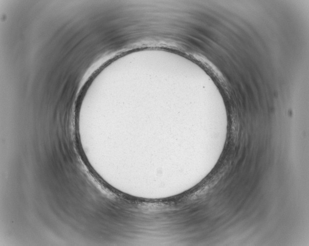 X0000085250894200704092046