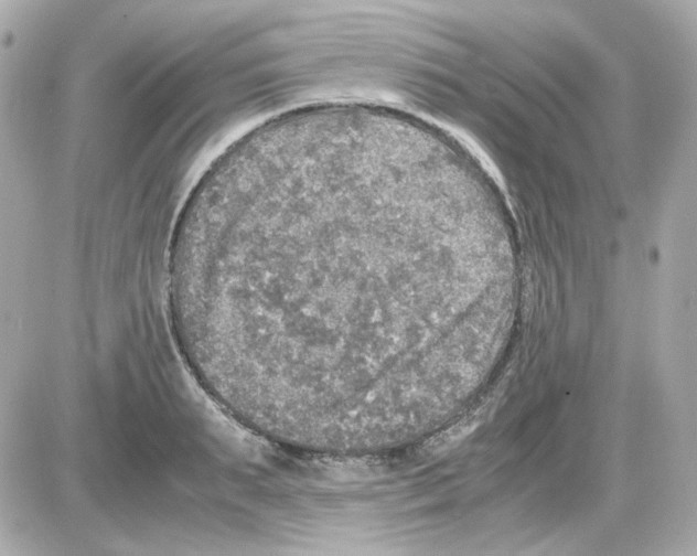 X0000085250895200704092046