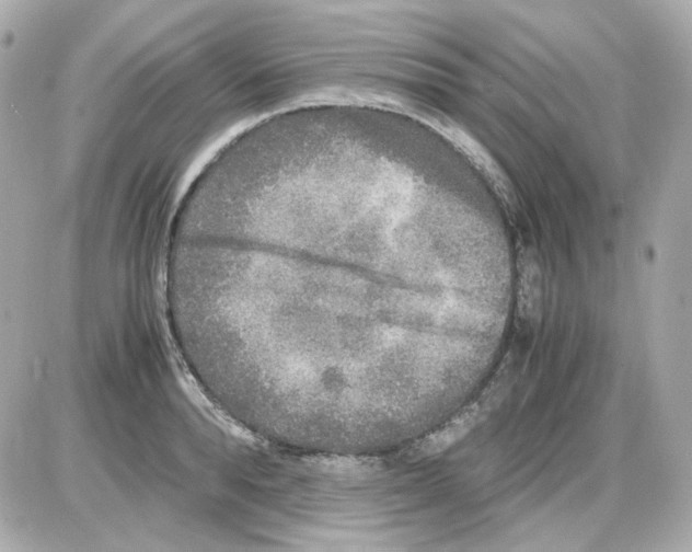 X0000085250896200704092046