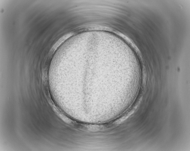 X0000085250897200704092046