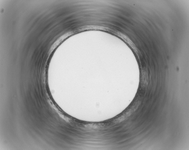 X0000085250898200704092046