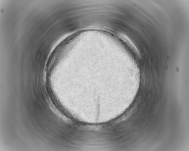 X0000085250900200704092046