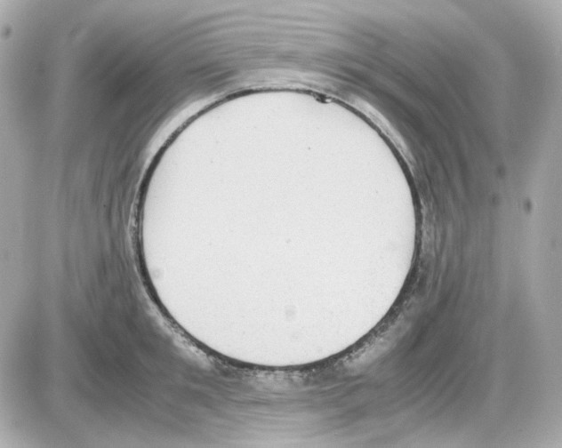 X0000085250901200704092046