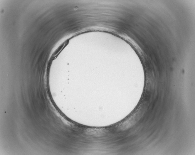 X0000085250902200704092046