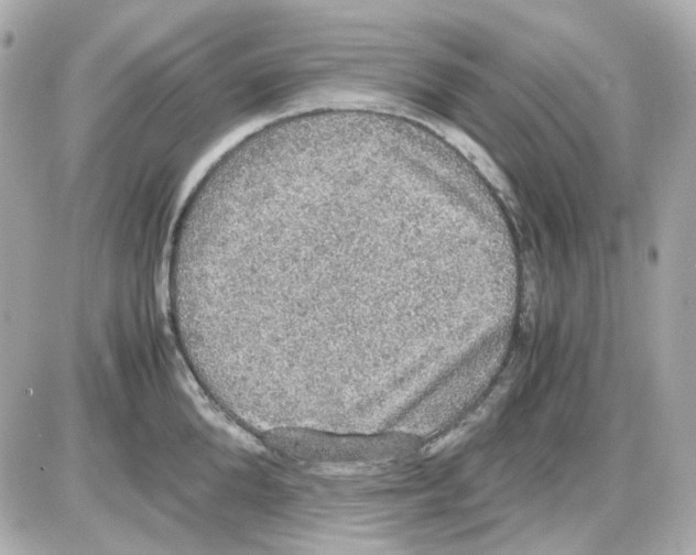 X0000085250904200704092046