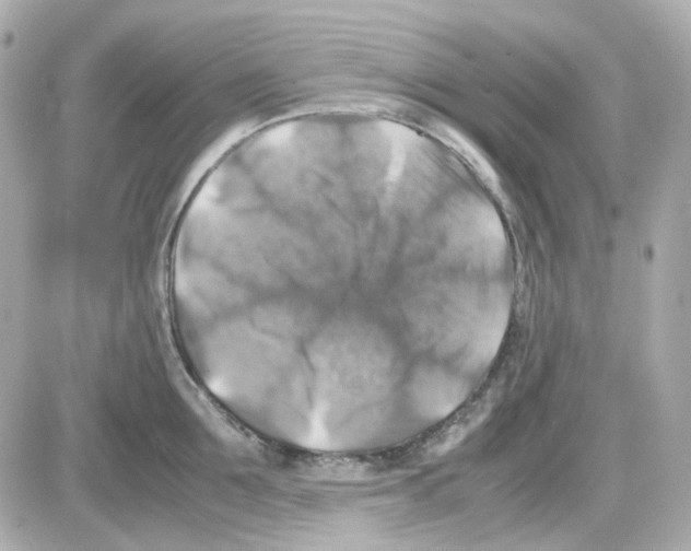 X0000085250907200704092046