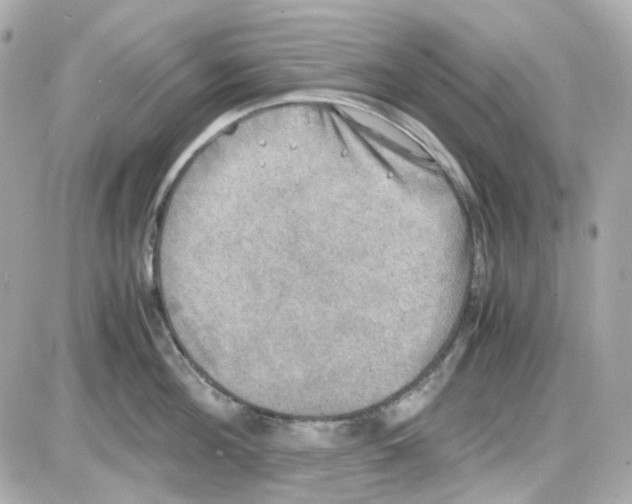 X0000085250908200704092046