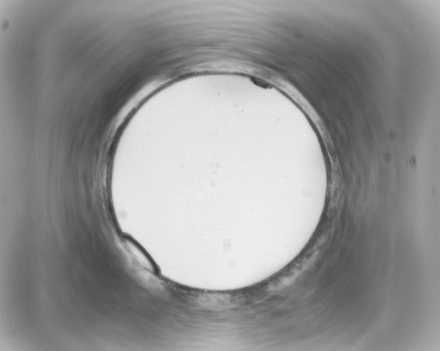 X0000085250909200704092046