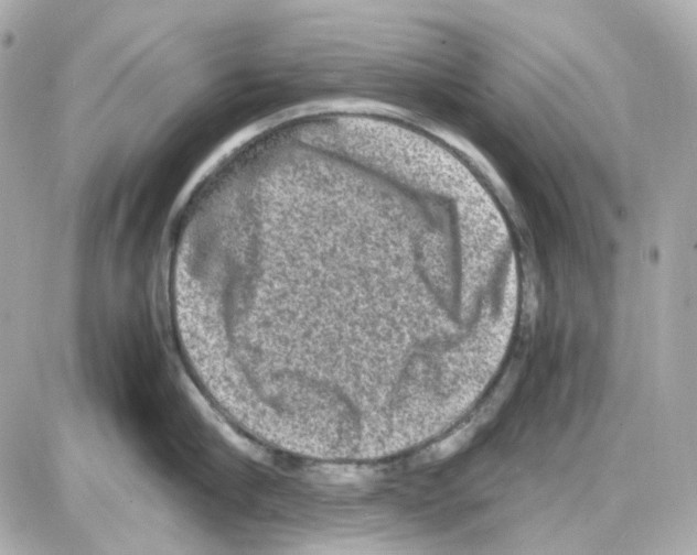 X0000085250910200704092045